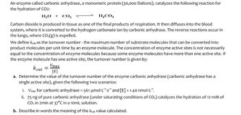 An enzyme called carbonic anhydrase, a monomeric protein (30,000 Daltons), catalyzes the following reaction for
the hydration of CO2:
H₂O +
CO₂
H₂CO3
Carbon dioxide is produced in tissue as one of the final products of respiration. It then diffuses into the blood
system, where it is converted to the hydrogen carbonate ion by carbonic anhydrase. The reverse reactions occur in
the lungs, where CO₂(g) is expelled.
We define keat as the turnover number - the maximum number of substrate molecules that can be converted into
product molecules per unit time by an enzyme molecule. The concentration of enzyme active sites is not necessarily
equal to the concentration of enzyme molecules because some enzyme molecules have more than one active site. If
the enzyme molecule has one active site, the turnover number is given by:
kcat =
Vmax
[E]
a. Determine the value of the turnover number of the enzyme carbonic anhydrase (carbonic anhydrase has a
single active site), given the following two scenarios:
i. Vmax for carbonic anhydrase = 561 umol·Ls and [E] =1.40 nmol.L¹.
ii. 75 ng of pure carbonic anhydrase (under saturating conditions of CO₂) catalyzes the hydration of 12 mM of
CO₂ in 2min at 37°C in a 10mL solution.
b. Describe in words the meaning of the keat value calculated.