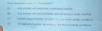 ### Understanding Fossilization

**Which statement is true about fossilization?**

(A) Only animals with backbones (vertebrates) fossilize.

(B) Only animals with hard structures, such as bones or shells, fossilize.

(C) Animals always fossilize, but plants fossilize under certain conditions.

(D) All organisms fossilize, depending on the environmental conditions.