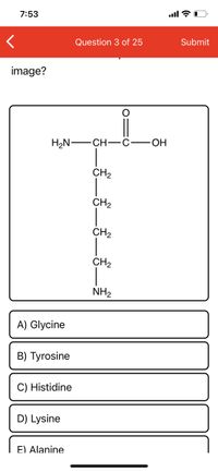 7:53
Question 3 of 25
Submit
image?
H2N-
CH–C
ОН
CH2
CH2
CH2
CH2
NH2
A) Glycine
B) Tyrosine
C) Histidine
D) Lysine
E) Alanine
