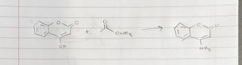 ### Synthesis of Indole Derivative

This illustration represents a chemical reaction involving an indole derivative.

1. **Reactants:**
    - **First molecule (left side):**
        - The structure contains a benzene ring fused to a five-membered ring with a double bond and an OH (hydroxyl) group attached.
    - **Second molecule (middle):**
        - Comprises an amide group (NH₂) with a carbonyl group (C=O) attached.
    
2. **Reaction:**
    - These molecules react together, as indicated by the "+" and the arrow, to form a new product.

3. **Product:**
    - **Final molecule (right side):**
      - The benzene ring is still fused to the five-membered ring.
      - A NH₂ (amine) group replaces the initial OH group.

This reaction shows the transformation of a hydroxyl group to an amine group within an indole framework, showcasing a common type of organic synthesis used in pharmaceutical chemistry and other chemical industries involving indole derivatives.