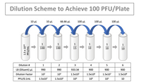 Dilution Scheme to Achieve 100 PFU/Plate
10 μιL
10 μι
66.66 µl
100 μL
100 μL
100 μι
1
1
1
1
1
1
100
100
15
10
10
10
Dilution #
1
3
4
6.
LB (Diluent) µl
990
990
933.34
900
900
900
Dilution Factor
102
104
1.5x105
1.5x106
1.5x107
1.5x108
PFU/0.1mL
1.5x107
1.5x105
104
103
102
10
1.5 x 1010
PFU/mL
