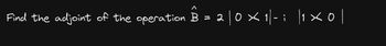 2|0 × 1|- |1 × ol
¡
Find the adjoint of the operation B = 2