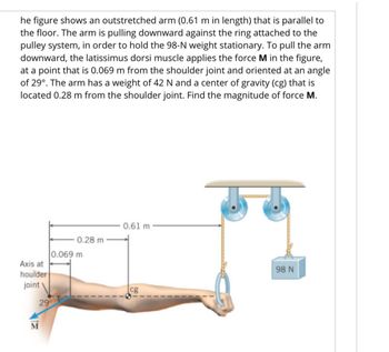 Answered: he figure shows an outstretched arm… | bartleby