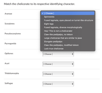 Match the chelicerate to its respective identifying character.
Araneae
Scorpiones
Pseudoscorpiones
Pycnogonida
Opiliones
Acari
Trilobitomorpha
Solifugae
✓ [Choose ]
Spinnerets
Fused tagmata, eyes placed on turret-like structure
Eight legs
Fused tagmata, diverse morphologically
Hey! This is not a chelicerate!
Claw-like pedipalps, no telson
Large chelicerae that are similar to jaws
Elongate pedipalps
Claw-like pedipalps, modified telson
Lack true chelicerae
[Choose ]
[Choose ]
[Choose ]
[Choose ]
+