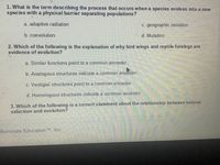 1. What is the term describing the process that occurs when a species evolves into a new
species with a physical barrier separating populations?
a. adaptive radiation
c. geographic isolation
b. coevolution
d. Mutation
2. Which of the following is the explanation of why bird wings and reptile forelegs are
evidence of evolution?
a. Similar functions point to a common ancestor.
b. Analogous structures indicate a common ancêstor.
c. Vestigial structures point to a common ancestor.
d. Homologous structures indicate a common ancestor.
3, Which of the following is a correct statement about the relationship between natural
selection and evo lution?
lluminate Education TM Inc.
