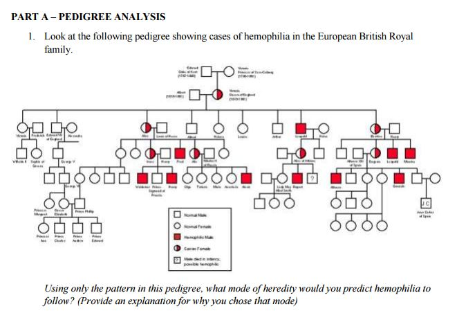 Hemophilia Pedigree Royal Family Worksheet Answers