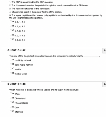 1. The SRP is recognized by the SRP receptor.
2. The ribosome translates the protein through the translocon and into the ER lumen.
3. The ribosome attaches to the translocon.
4. Chaperones assist in the proper folding of the protein.
5. The signal peptide on the nascent polypeptide is synthesized by the ribosome and recognized by
the SRP (signal recognition protein).
A. 5, 3, 1, 2, 4
OB. 1, 5, 4, 3, 2
C. 5, 1, 3, 2, 4
OD. 1, 2, 3, 4, 5
E. 1, 5, 3, 2, 4
QUESTION 32
The side of the Golgi stack orientated towards the endoplasmic reticulum is the
OA.
cis-Golgi network
B. trans-Golgi network
OC. vesicle
OD. medial-Golgi
QUESTION 33
Which molecule is displaced when a vesicle and its target membrane fuse?
A. Water
OB. Cholesterol
OC. Phospholipids
D. DNA
OE. SNARES
2.
2.