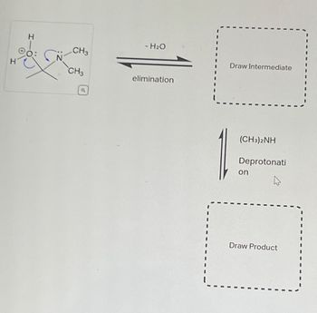 I
H
CN
CH3
H2O
Draw Intermediate
CH
elimination
(CH3)2NH
Deprotonati
on
Draw Product