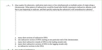 _a____5. (four marks) In eukaryotes, replication starts more or less simultaneously at multiple points of origin along a
chromosome. What pattern of radioactivity would be found after briefly exposing to radioactive adenine a cell
that is just beginning to replicate, and then quickly replacing the radioactive with nonradioactive adenine?
d
many short sections of radioactive DNA
one radioactive section of DNA starting at one particular end of the chromosomes
C.
many short radioactive strands of DNA in the leading strands only
d. many short radioactive sections of DNA in the lagging strands only
e.
no radioactive sections in the DNA
a.
b.
6 (two marks) Cytokinesis is