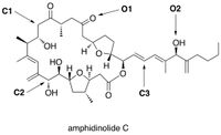 01
02
C1
OH
HO,
НО
H
C2
OH
C3
amphidinolide C
