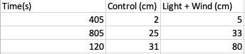 Time(s)
405
805
120
Control (cm) Light + Wind (cm)
2
25
31
5
33
80