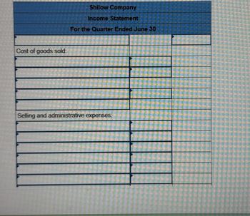 வடி
Shilow Company
Income Statement
For the Quarter Ended June 30
Cost of goods sold:
בן
Selling and administrative expenses: