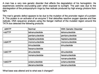 A man has a very rare genetic disorder that affects the degradation of his hemoglobin. He
experiences extreme excruciating pain when exposed to sunlight. The pain was due to the
disintegration of the protoporphyrin rings by free radicals produced by high energy photons from
light.
The man's genetic defect appears to be due to the mutation of the promoter region of a protein
X. This protein is an activator of an enzyme Y that detoxifies reactive oxygen species and free
radicals. DNA sequence analysis using the Sanger method of the mutated region around the
TATA box detected the following products:
ddNTP
Normal
With Genetic Disorder
tetranucleotide
+ddTTP
tetranucleotide
pentanucleotide
pentanucleotide
heptanucleotide
heptanucleotide
+ddATP
mononucleotide
mononucleotide
trinucleotide
trinucleotide
hexanucleotide
+ddCTP
dinucleotide
dinucleotide
nonanucleotide
hexanucleotide
nonanucleotide
+ddGTP
octanucleotide
octanucleotide
decanucleotide
decanucleotide
What base was altered and to what was it changed?