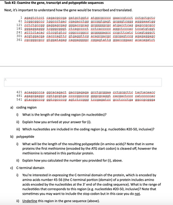 Task #2: Examine the gene, transcript and polypeptide sequences
Next, it's important to understand how the gene would be transcribed and translated.
A
1 agagtctcct cagacgccga gatgctggtc atggcgcccc gaaccgtcct cctgctgctc
61 tcggcggccc tggccctgac cgagacctgg gccggtgagt gcgggtcggg agggaaatgg
121 cctctgccgg gaggagcgag gggaccgcag gcgggggcgc atgacctcag gagccgcgcc
181 gggaggaggg tcgggcgggt ctcagcccct cctcaccccc aggctcccac tccatgtggt
241 atttctacac ctccgtgtcc cggcccqgcc gcggggagcc ccgcttcatc tcagtgggct
301 acgtggacga cacccagttc gtgaggttcg acagcgacgc cgcgagtccg agagaggagc
361 cgcgggcgcc gtggatagag caggaggggc cggagtattg ggaccggaac acacagatct
421 acaaggccca ggcacagact gaccgagaga gcctgcggaa cctgcgcttc tactacaacc
481 agagcgaggc cgttgcgtga ccccggcccg gggcgcaggt cacgactccc catcccccac
541 gtacggcccg ggtcgccccg agtctccggg tccgagatcc gcctccctga ggccgcggga
a) coding region
i) What is the length of the coding region (in nucleotides)?
ii) Explain how you arrived at your answer for (i).
iii) Which nucleotides are included in the coding region (e.g. nucleotides #20-50, inclusive)?
b) polypeptide
i) What will be the length of the resulting polypeptide (in amino acids)? Note that in some
proteins the first methionine (encoded by the ATG start codon) is cleaved off, however the
methionine is retained in this particular protein.
ii) Explain how you calculated the number you provided for (i), above.
c) C-terminal domain
i) You're interested in expressing the C-terminal domain of the protein, which is encoded by
amino acids number 45-56 (the C-terminal portion (domain) of a protein includes amino
acids encoded by the nucleotides at the 3' end of the coding sequence). What is the range of
nucleotides that corresponds to this region (e.g. nucleotides #20-50, inclusive)? Note that
sometimes you may want to include the stop codon but in this case you do not.
ii) Underline this region in the gene sequence (above).