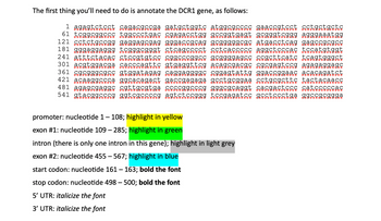 The first thing you'll need to do is annotate the DCR1 gene, as follows:
1 agagtctcct cagacgccga gatgctggtc atggcgcccc gaaccgtcct cctgctgctc
61 tcggcggccc tggccctgac cgagacctgg gccggtgagt gcgggtcggg agggaaatgg
121 cctctgccgg gaggagcgag gggaccqсag gс¶¶¶¶gcgc atgacctcag gagccgcgcc
181 gggaggaggg tcgggcgggt ctcagcccct cctcaccccc aggctcccac tccatgtggt
241 atttctacac ctccgtgtcc cggcccqgcc gcggggagcc ccgcttcatc tcagtgggct
301 acgtggacga cacccagttc gtgaggttcg acagcgacgc cgcgagtccg agagaggagc
361 cgcgggcgcc gtggatagag caggaggggc cggagtattg ggaccggaac acacagatct
421 acaaggccca ggcacagact gaccgagaga gcctgcggaa cctgcgcttc tactacaacc
481 agagcgaggc cgttgcqtga ccccqgcccg gggcgcaggt cacgactccc catcccccac
541 gtacqgcccg ggtcgccccg agtctccggg tccgagatcc gcctccctga ggccqcggga
promoter: nucleotide 1 - 108; highlight in yellow
exon #1: nucleotide 109 - 285; highlight in green
intron (there is only one intron in this gene); highlight in light grey
exon #2: nucleotide 455 - 567; highlight in blue
start codon: nucleotide 161 - 163; bold the font
stop codon: nucleotide 498-500; bold the font
5' UTR: italicize the font
3' UTR: italicize the font