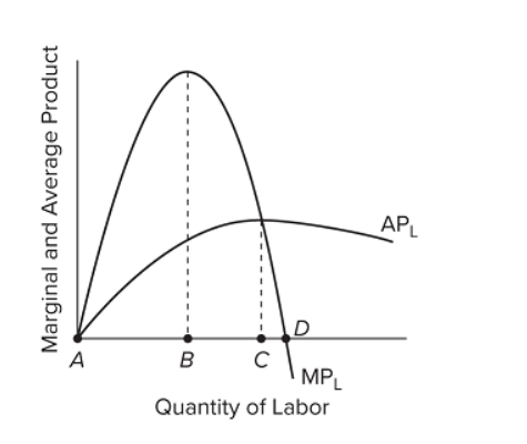 average product of labor