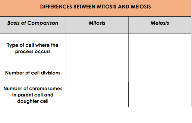 difference between mitosis and meiosis cell division