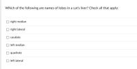 Which of the following are names of lobes in a cat's liver? Check all that apply:
right median
right lateral
caudate
left median
O quadrate
O left lateral

