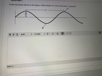 In the waveform shown in the figure, which feature of a wave does letter C represent?
TT T
3 (12pt)
Arial
Path: p
II
