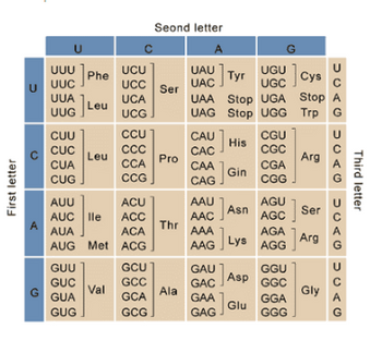 Answered: Please take the following sequence of… | bartleby