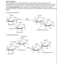 DISACCHARIDE
The condensation of two monosaccharide forms a disaccharide or polysaccharide if several
monosaccharides are involved. When monosaccharides join together one water molecule is produced.
Usually the C-1 OH and C-4 OH or C-1 OH and C-6 OH are involved in the formation of new bond
called the glycosidic bond (an ether linkage). Two possible glycosidic bonds are the 1,4’-alpha
glycosidic bond and 1,4’-beta glycosidic bond. Did you notice the difference between the two glycosidic
bonds?
1,4'-alpha glycosidic bond
ÇH2OH
ÇH2OH
Он
H.
H
OH is lost
-H2O
H
H
он
CH2OH
Он
Но
OH
Но
+
ÇH2OH
H
OH
ОН
alpha anomer
он
H
H
OH
Он
H
OH
H is lost>HỌ
OH
1,4'-alpha glycosidic bond
OH
alpha anomer
1,4'-beta glycosidic bond
beta anomer
CH2OH
OH
ÇH2OH
H is removed
H
Он
О он
CH2OH
НО
CH2OH
OH
H
-O OH
H
OH
H
H
H2O
H
OH
OH
OH
но
H
OH is removed
Но
H
OH
OH
1,4'-beta glycosidic bond
beta anomer
-오
