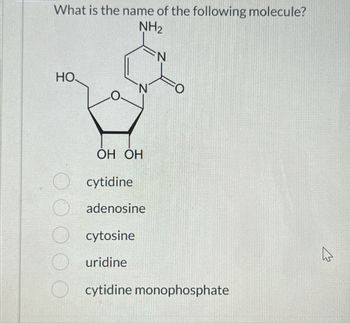 What is the name of the following molecule?
NH₂
HO
OH OH
cytidine
adenosine
N
cytosine
uridine
cytidine monophosphate
☆