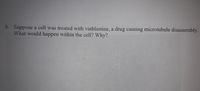 8. Suppose a cell was treated with vinblastine, a drug causing microtubule disassembly.
What would happen within the cell? Why?
