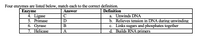 Four enzymes are listed below, match each to the correct definition.
Definition
Enzyme
4. Ligase
5. Primase
6. Gyrase
7. Helicase
Answer
a. Unwinds DNA
b. Relieves tension in DNA during unwinding
c. Links sugars and phosphates together
d. Builds RNA primers
C
В
A
