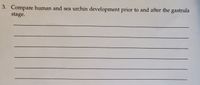 3. Compare human and sea urchin development prior to and after the gastrula
stage.

