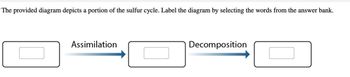 The provided diagram depicts a portion of the sulfur cycle. Label the diagram by selecting the words from the answer bank.

**Diagram Explanation:**

- The diagram consists of three rectangular boxes, each connected by arrows to show a process in the sulfur cycle.
- The first box leads to the second box through an arrow labeled "Assimilation."
- The second box is connected to the third box via an arrow labeled "Decomposition."
- Each box has a dashed rectangle inside, indicating spaces meant to be filled with specific terms from the sulfur cycle.

Students are encouraged to use the words from the answer bank to correctly label each part of the cycle.