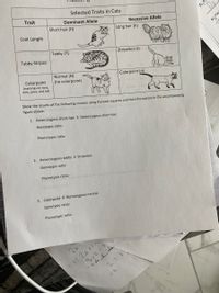 Selected Traits in Cats
Trait
Dominant Allele
Short hair (H)
5) ¿V
Do
Recessive Allele
Coat Length
Long hair (h)
6) Vas
Tabby (T)
Tabby Stripes
Stripeless (t)
Colorpoint
(markings on nose,
ears, paws, and tail)
Normal (N)
(no colorpoint)
Colorpoint (n)
Show the results of the following crosses using Punnett squares and the information in the accompanying
figure above.
1. Heterozygous short-hair X Heterozygous short-hair
Genotypic ratio:
Phenotypic ratio:
2. Heterozygous tabby X Stripeless
Genotypic ratio:
Phenotypic ratio:
3. Colorpoint X Homozygous normal
Genotypic ratio:
Phenotypic ratio:
26.
4x+2= 5
