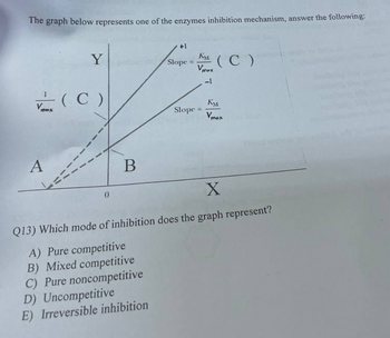 The graph below represents one of the enzymes inhibition mechanism, answer the following:
Vex (C)
A
Y
==
0
B
+1
Slope = (C)
KM
Vmax
-1
Slope =
KM
Vmax
X
Q13) Which mode of inhibition does the graph represent?
A) Pure competitive
B) Mixed competitive
C) Pure noncompetitive
D) Uncompetitive
E) Irreversible inhibition