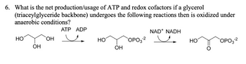 6. What is the net production/usage of ATP and redox cofactors if a glycerol
(triaceylglyceride backbone) undergoes the following reactions then is oxidized under
anaerobic conditions?
HO
OH
OH
ATP ADP
НО
OH
-2
OPO3-²
NAD+ NADH
u
HO
-2
OPO3-²