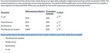 You culture bacteria from the soil at a toxic waste dump on an agar plate and pick a single bacterium from which you prepare DNA. The
isolated organism is a new, previously uncharacterized species. You perform PCR amplification of this DNA using primers to amplify a
short segment of ribosomal DNA. When you use BLAST to find similar sequences, you find the following results.
Organism
E. coli
Streptococcus
Burkhoderia
Microbacterium oxydans
DNA sequence identity. % sequence E-value
coverage
e-10
E. coli
84%
88%
98%
100%
40%
40%
40%
80%
e-12
e-15
e-30
Based on the data in the table, which species is most closely related to your toxic waste dump sample?
Microbacterium oxydans
Streptococcus
Burkhoderia