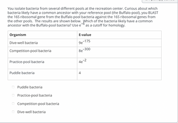 You isolate bacteria from several different pools at the recreation center. Curious about which
bacteria likely have a common ancestor with your reference pool (the Buffalo-pool), you BLAST
the 16S ribosomal gene from the Buffalo pool bacteria against the 16S ribosomal genes from
the other pools. The results are shown below. Which of the bacteria likely have a common
ancestor with the Buffalo-pool bacteria? Use e as a cutoff for homology.
Organism
Dive-well bacteria
Competition-pool bacterial
Practice-pool bacteria
Puddle bacteria
Puddle bacteria
Practice-pool bacteria
Competition-pool bacteria
Dive-well bacteria
E-value
9e-175
-300
8e
4e-2
4