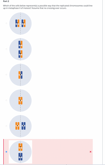 Part 2
Which of the cells below represent(s) a possible way that the replicated chromosomes could line
up in metaphase Il of meiosis? Assume that no crossing-over occurs.
ВЬ ВЬ
Bib
ВІЬ
b,B
S
bь! В в
b b
BB
X