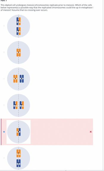 Part 1
This diploid cell undergoes meiosis (chromosomes replicate prior to meiosis). Which of the cells
below represent(s) a possible way that the replicated chromosomes could line up in metaphase I
of meiosis? Assume that no crossing-over occurs.
O
Bb
Bib
MP
bb BB
AF
Bb Bb
bB
bib
BB
X