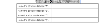 Answered: D B{ A | Bartleby