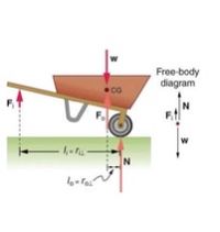 Free-body
diagram
N
IN
