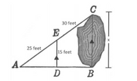 C
30 feet
E
25 feet
15 feet
A.
В
