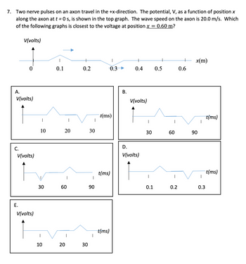 7. Two nerve pulses on an axon travel in the +x-direction. The potential, V, as a function of position x
along the axon at t = 0 s, is shown in the top graph. The wave speed on the axon is 20.0 m/s. Which
of the following graphs is closest to the voltage at position x = 0.60 m?
V(volts)
x(m)
0
0.1
0.2
0.3
0.4 0.5
0.6
A.
V(volts)
C.
V(volts)
E.
V(volts)
10
30
10
20
20
30
t(ms)
B.
V(volts)
t(ms)
30
60
90
D.
V(volts)
t(ms)
|
60
90
0.1
0.2
0.3
20
20
30
t(ms)
|
t(ms)