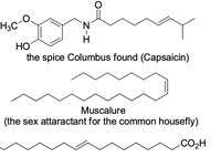 H3C
HO
the spice Columbus found (Capsaicin)
Muscalure
(the
sex attaractant for the common housefly)
CO2H
Z-I
