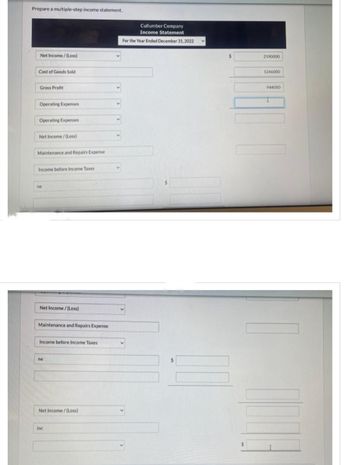 Prepare a multiple-step income statement.
Net Income/(Loss)
Cost of Goods Sold
Gross Profit
Operating Expenses
Operating Expenses
Net Income/(Loss)
Maintenance and Repairs Expense
Income before Income Taxes
ne
Net Income/(Loss)
Maintenance and Repairs Expense
Income before Income Taxes
ne
Net Income/(Loss)
inc
Cullumber Company
Income Statement
For the Year Ended December 31, 2022
2190000
1246000
944000
I
HOOD