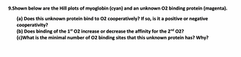 9.Shown below are the Hill plots of myoglobin (cyan) and an unknown 02 binding protein (magenta).
(a) Does this unknown protein bind to 02 cooperatively? If so, is it a positive or negative
cooperativity?
(b) Does binding of the 1st 02 increase or decrease the affinity for the 2nd O2?
(c)What is the minimal number of 02 binding sites that this unknown protein has? Why?