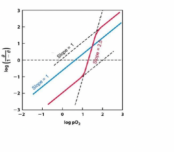 log (10)
-1
-2
-3
-
2
3
Slope = 1
Slope = 1
-----
-2
0
log po₂
Slope = 2.5
1
2
3