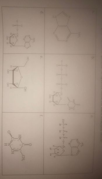 d
NH
NH₂
to
-0 CH
CHO
H H
H
OH H
H
b.
e.
0-P-O-P-O-P-O-CH
HO
H
H
OH
H
OH
0-CH₂ Q
OH
H
HN
H
H H
OH H
H
cach structure below:
CH
CH
C.
f.
No-f-o-P-o-
OH
ON
ON
HN:
O
NH₂
IZ
N
H
HP ON
Ell
CH
CH₁