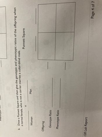 Answered: B. Draw A Punnett Square And Then Give… | Bartleby