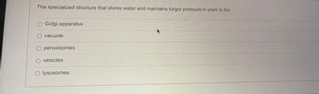 The specialized structure that stores water and maintains turgor pressure in plant is the
O Golgi apparatus
O vacuole
peroxisomes
O vesicles
O lysosomes