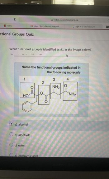 tcdsb.elearningontario.ca
M Inbox (19) - luliaabel918@gmail...
G Sign in to your account
N Netflix
ctional Groups Quiz
What functional group is identified as #1 in the image below?
Name the functional groups indicated in
the following molecule
1
3
4
2
NH2
NH2
HO
a) alcohol
b) aldehyde
c) ester
d) carboxylic acid
MacBook Pro