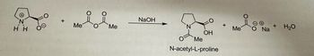 2
HH
Me
Me
NaOH
OH
Me
N-acetyl-L-proline
Me
0=
00
O Na
+
H₂O